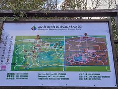 -上海海湾国家森林公园