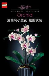-乐高品牌旗舰店(人民广场店)