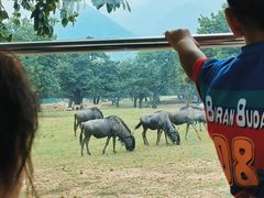 -西安秦岭野生动物园