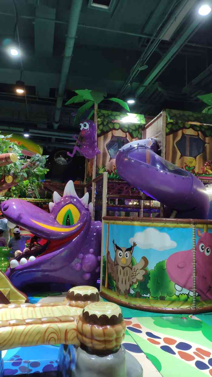 joypolis wonder forest(环球港店)-"团购价110一大一小进去的,场地挺