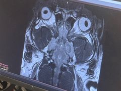 -北京派仕佳德动物医院·超导核磁·CT·神经科·骨科·内外科·急重症管理中心