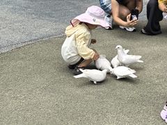 -烟台海昌鲸鲨海洋公园