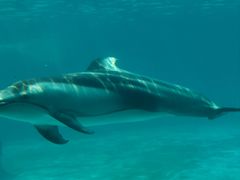 -凡花主题KTV(天虹店)