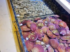 -聚盛源蒸汽海鲜火锅烤肉自助(巨川金海岸购物广场店)