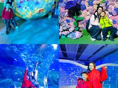 -顺德南宏海立方海洋公园