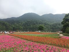 -广州市石门国家森林公园