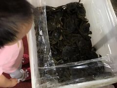 -四道口水产市场