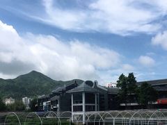 -天后宫民俗文化街