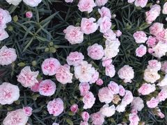 -山东大学(威海校区)