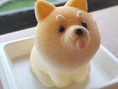 -柴犬高等学院·狗咖·柴犬售卖·宠物训练