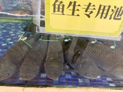 -聚福山莊·寻味顺德(北滘店)