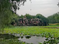 -微山湖红荷湿地景区