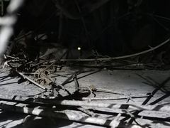 -鬼笑石后山停车场