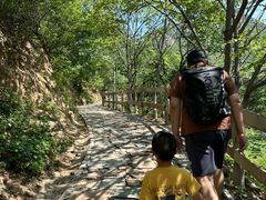 -大岭沟猕猴桃谷风景区