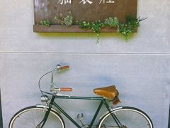 -猫里有甜