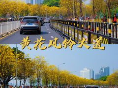 -洲头咀公园