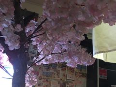 -金龙咖喱