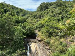 -广州白江湖森林公园