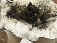 -御面斋精品面馆