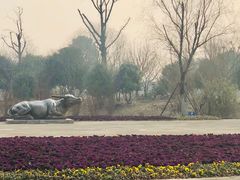 -梁鸿国家湿地公园