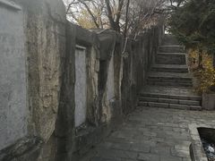-高尔山公园