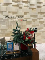 -丽妍雅集 Rubis SPA