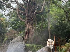 -和顺柏联温泉