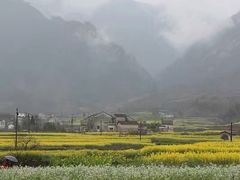 -新安江山水画廊风景区