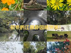 -朴园