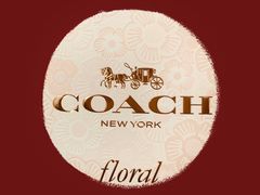 -COACH蔻驰(恒隆广场店)