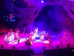 -珠海横琴长隆《卡卡虎奇遇记》