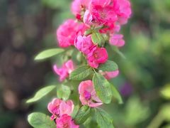 -杭州城北体育公园