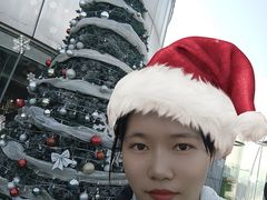 -Hi City·城市之巅