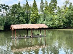 -溱湖国家湿地公园