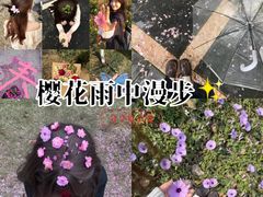 -西北大学(桃园校区)