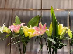 -鑫小城故事·藕汤·家常菜(台北一路总店)