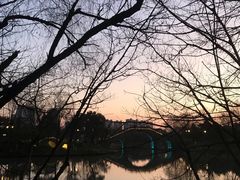 -绍兴镜湖国家城市湿地公园
