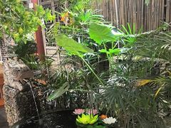 -三道苗苗鱼·美蛙黄辣丁(八里店)
