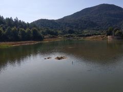 -九鲤湖风景区