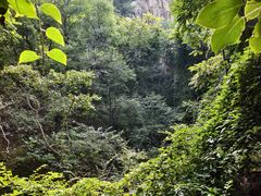-大岭沟猕猴桃谷风景区