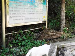 -灵溪风景区