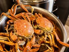 -天鹅到家·保姆月嫂育儿嫂(南开店)