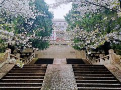 -武汉大学-樱园