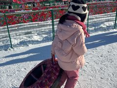 -北陵公园