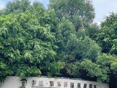 -清远熹乐谷温泉度假酒店