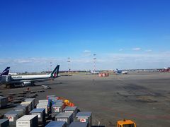 -谢列梅捷沃国际机场