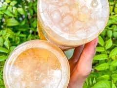 -野萃山·潮汕厚果汁(十亩地店)