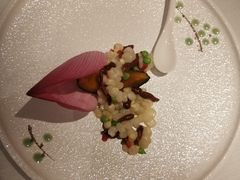 -叶叶菩提·晋福宫