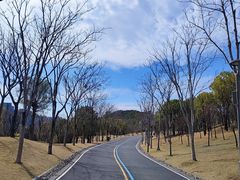 -牛岗山公园