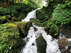 -瓦屋山景区